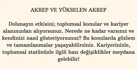 aslan 1 (9).webp