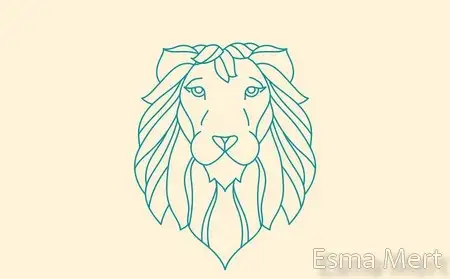 aslan 10 (1).webp