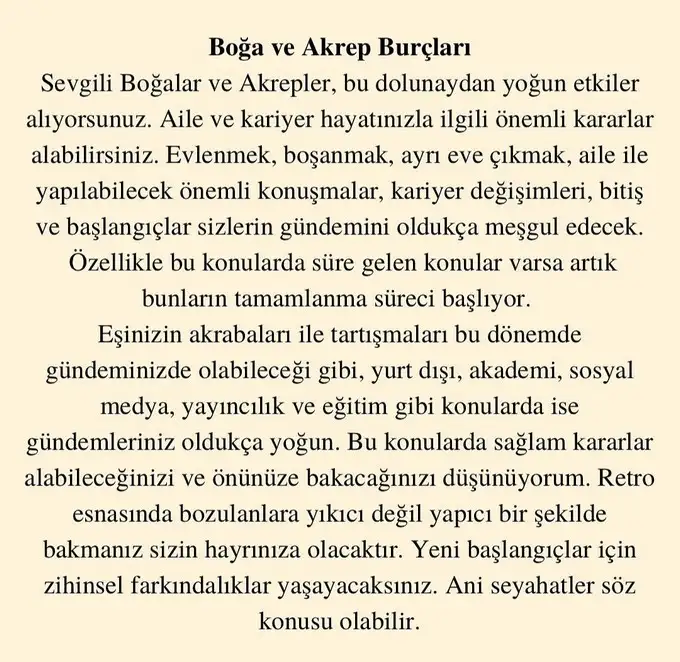 aslan 10 (3).webp