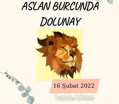 aslan 11 (1).webp