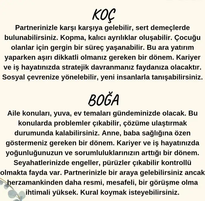 aslan 11 (2).webp