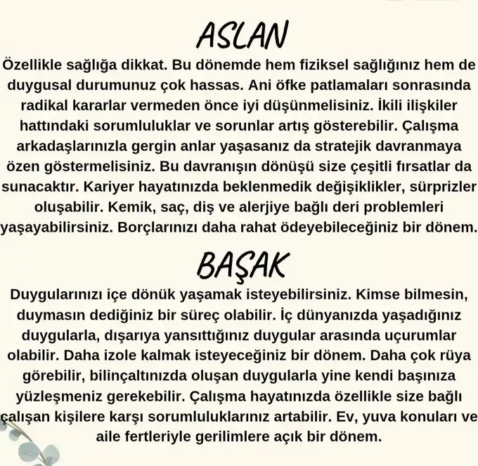 aslan 11 (4).webp