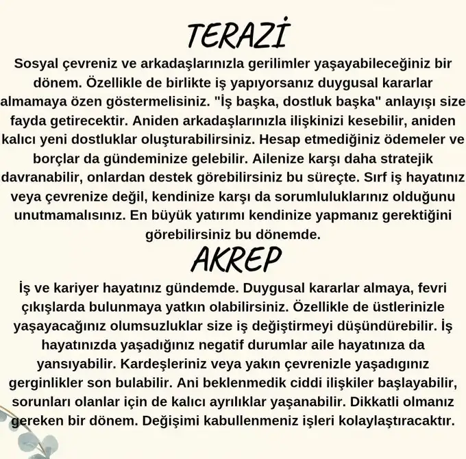 aslan 11 (5).webp