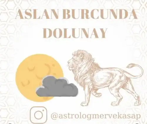 aslan 13 (1).webp