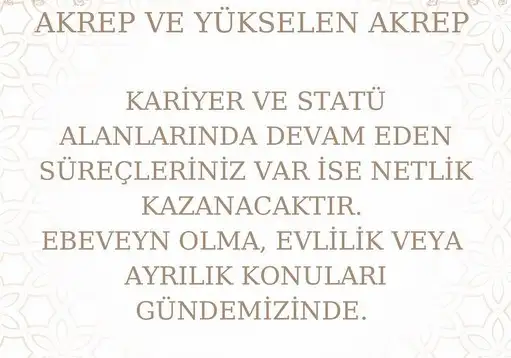 aslan 13 (10).webp