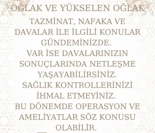 aslan 13 (13).webp