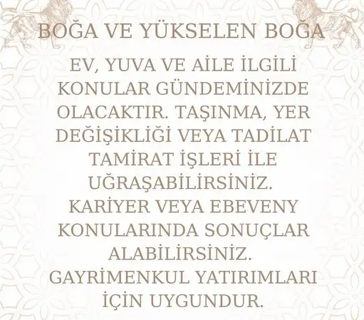 aslan 13 (4).webp