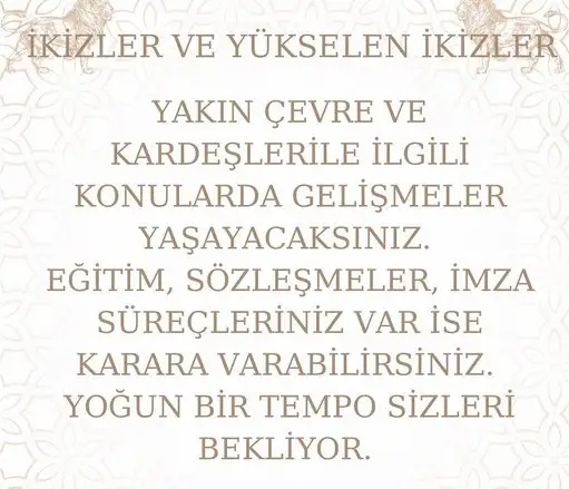 aslan 13 (5).webp