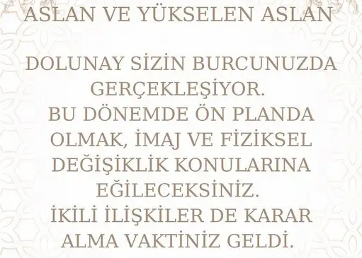aslan 13 (7).webp