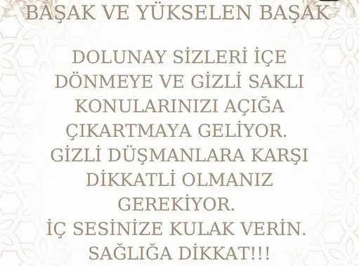 aslan 13 (8).webp