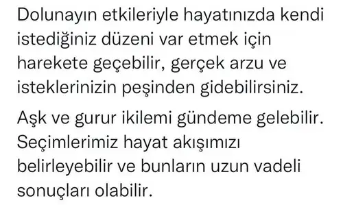 aslan 14 şubat (2).webp