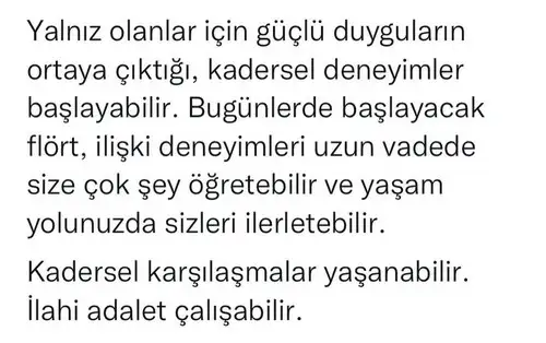 aslan 14 şubat (5).webp