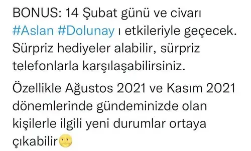 aslan 14 şubat (6).webp