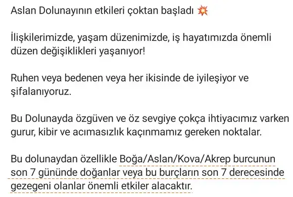 aslan 14 şubat (7).webp