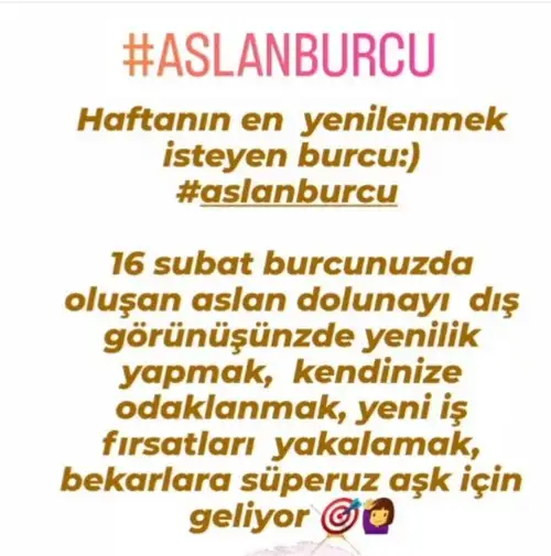 aslan 17 (6).webp