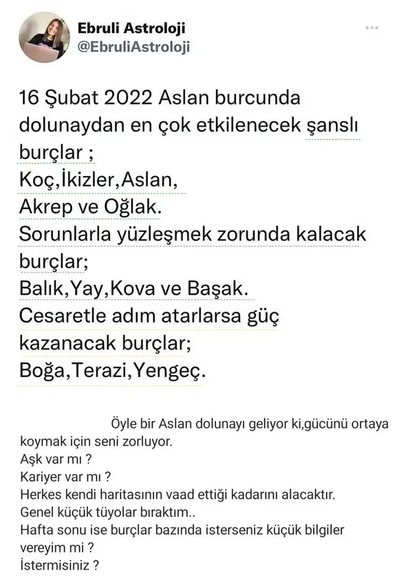 aslan 17.webp