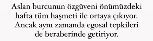 aslan 18 (2).webp