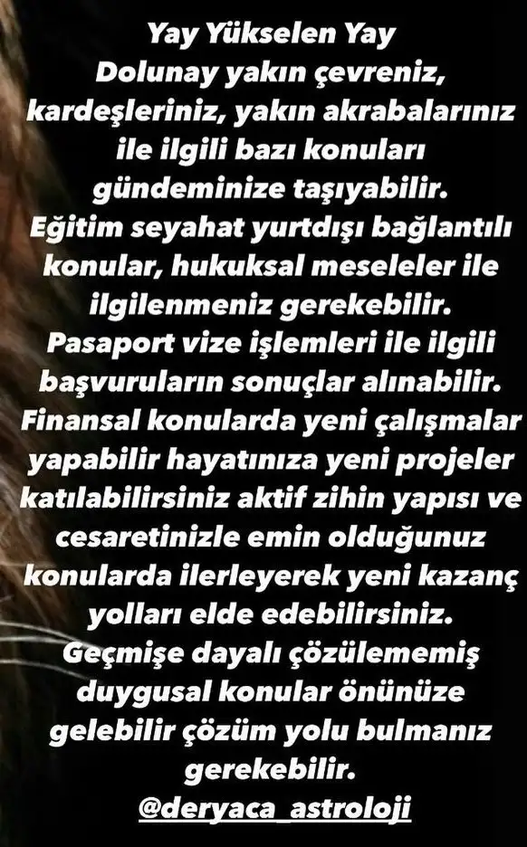 aslan 20 (10).webp