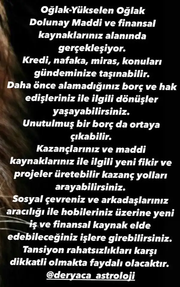 aslan 20 (11).webp