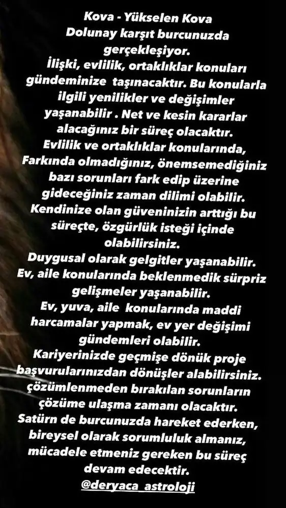 aslan 20 (12).webp