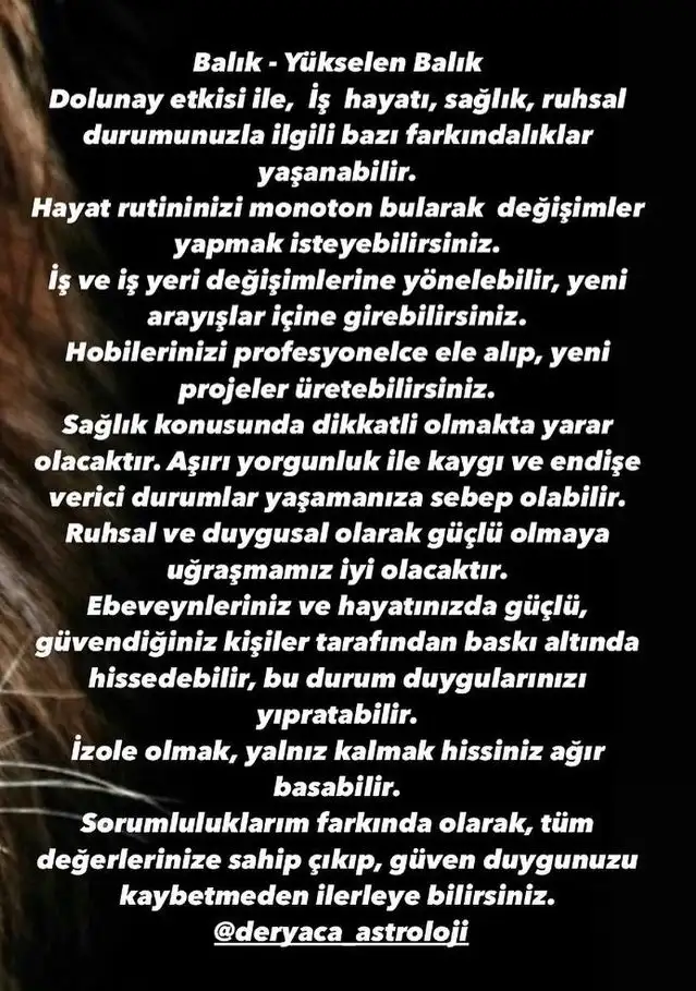 aslan 20 (13).webp