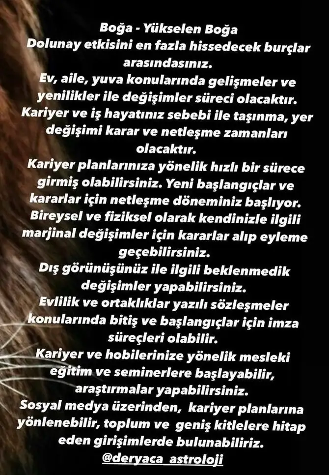 aslan 20 (3).webp