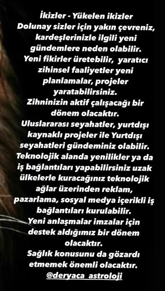 aslan 20 (4).webp