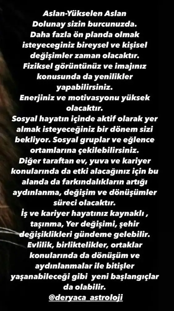 aslan 20 (6).webp