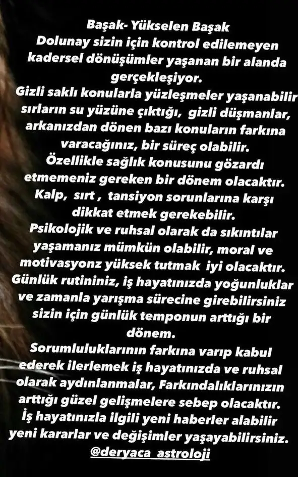 aslan 20 (7).webp