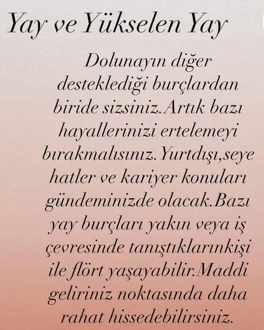 aslan 21 (10).webp