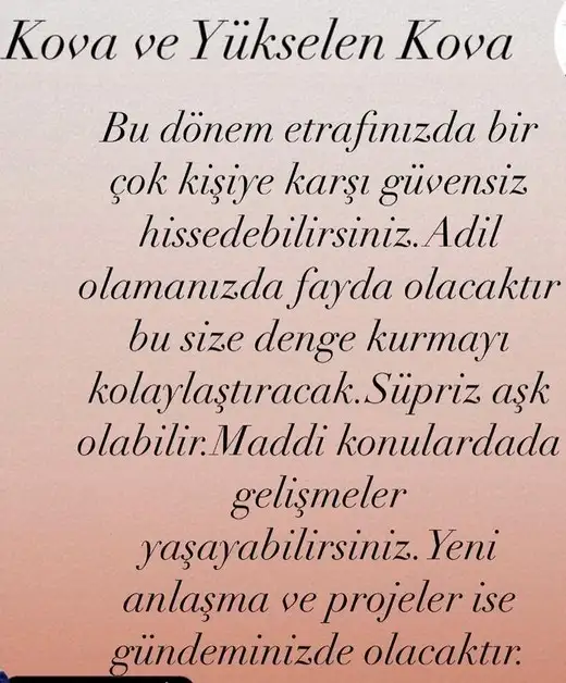 aslan 21 (12).webp