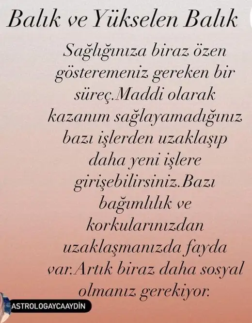aslan 21 (13).webp