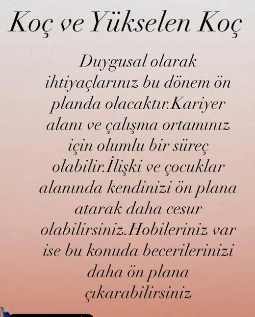aslan 21 (2).webp