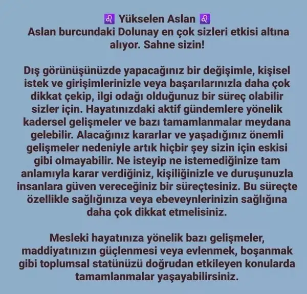 aslan 21 (20).webp