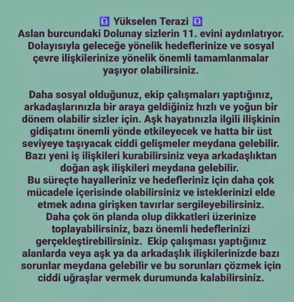 aslan 21 (23).webp