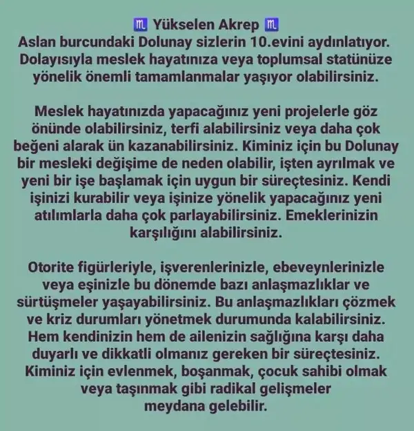aslan 21 (24).webp