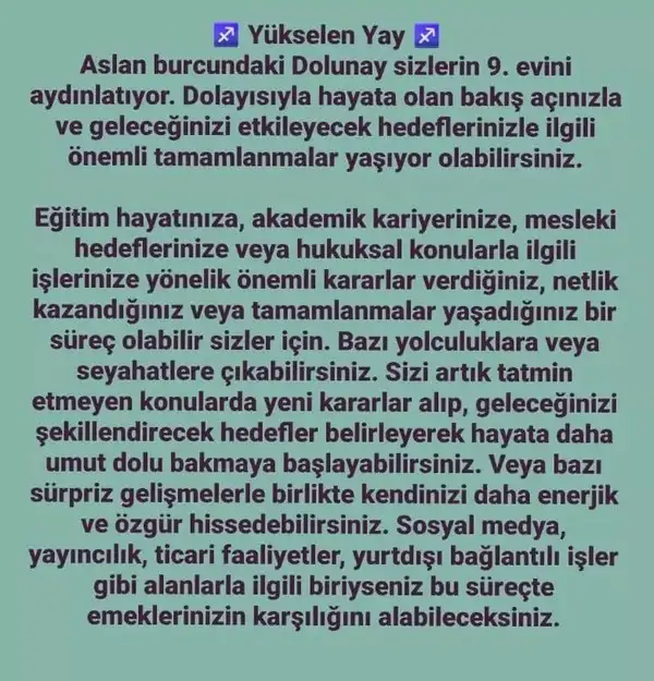 aslan 21 (25).webp