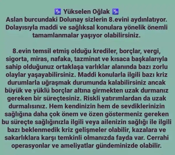 aslan 21 (26).webp