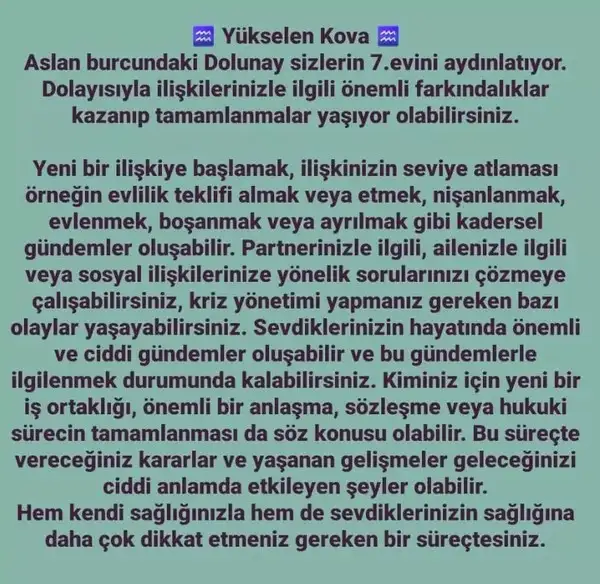 aslan 21 (27).webp