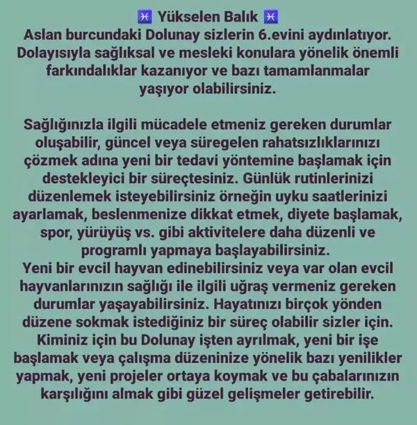 aslan 21 (28).webp