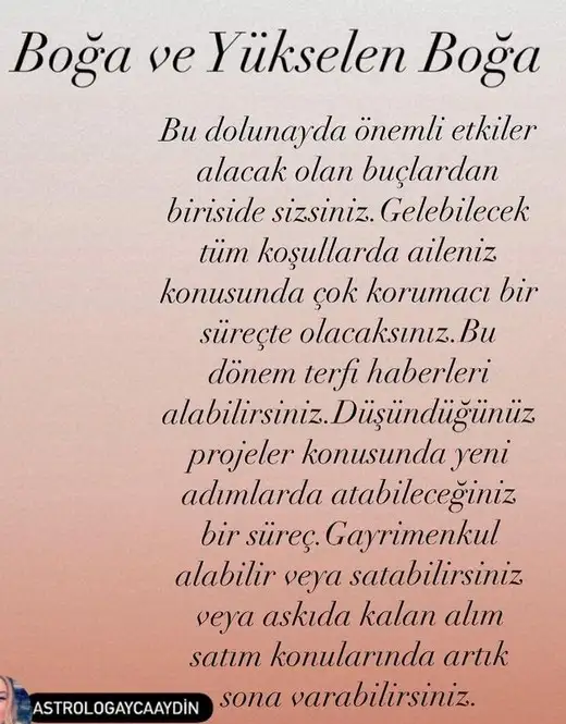 aslan 21 (3).webp