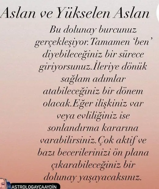 aslan 21 (6).webp