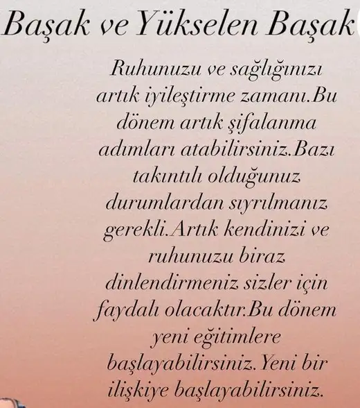 aslan 21 (7).webp