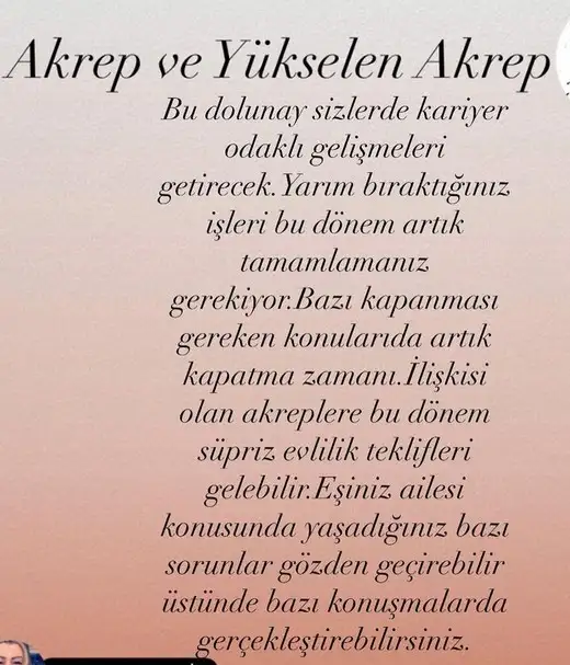 aslan 21 (9).webp