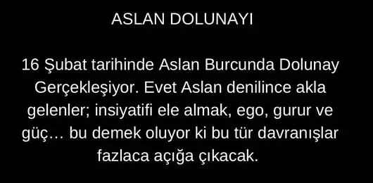 aslan 22 (1).webp