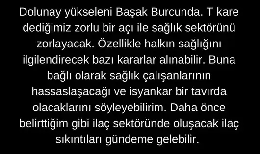 aslan 22 (3).webp