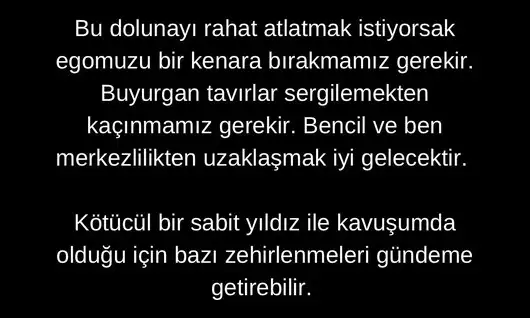 aslan 22 (4).webp