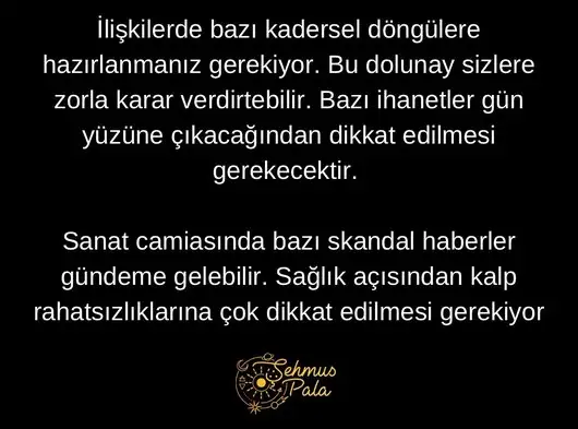 aslan 22 (5).webp