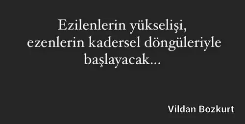 aslan 24 (12).webp