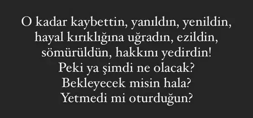 aslan 24 (3).webp